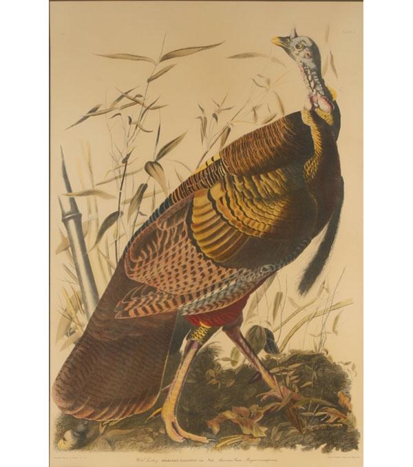 After John James Audubon American  50b5e