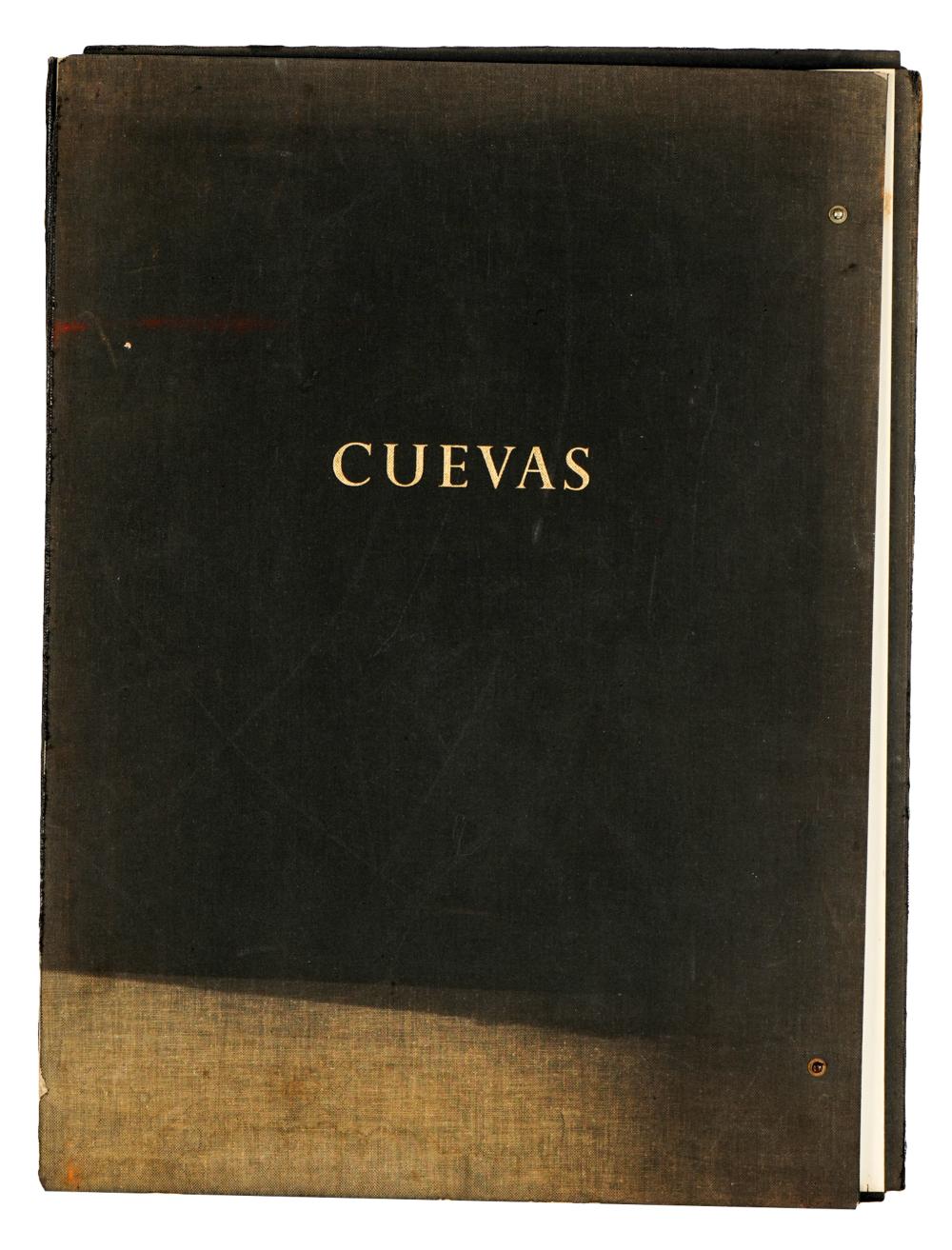JOSE LUIS CUEVAS: RECOLLECTIONS