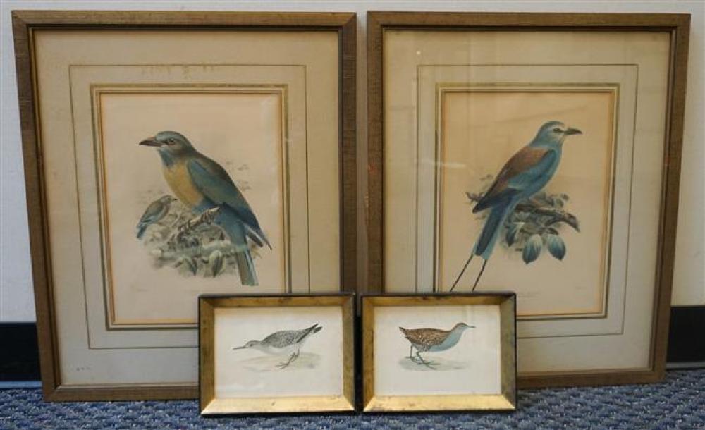 FOUR 19TH 20TH CENTURY COLOR ORNITHOLOGICAL 326142