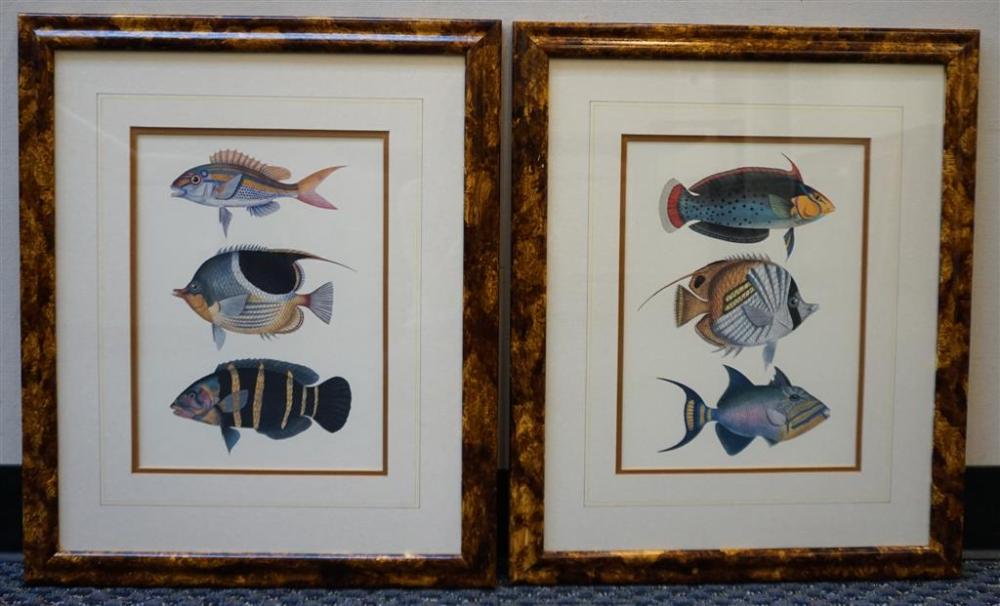 TROPICAL FISH, TWO COLOR PRINTS, FRAMED: