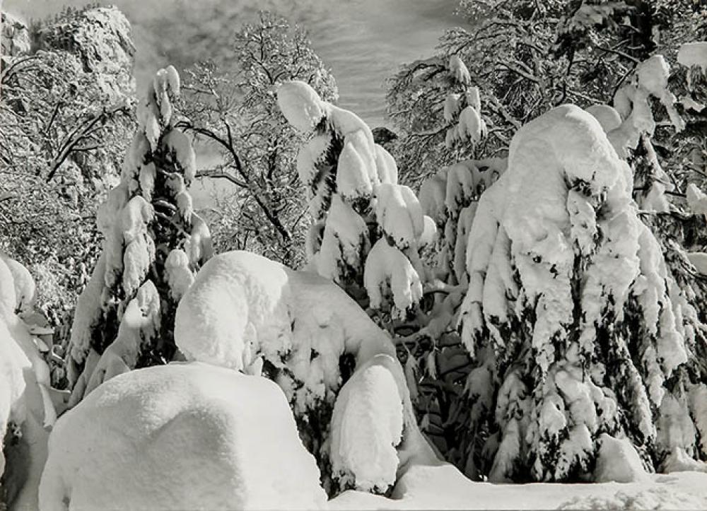 ANSEL ADAMS (AMERICAN 1902-1984), WINTER,