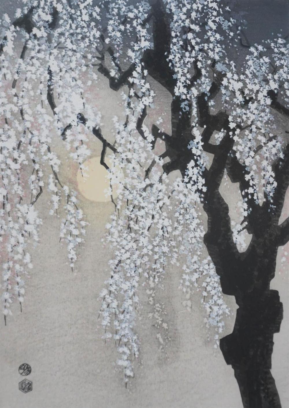 KOTOZAKA DROOPING CHERRY BLOSSOMS  329737