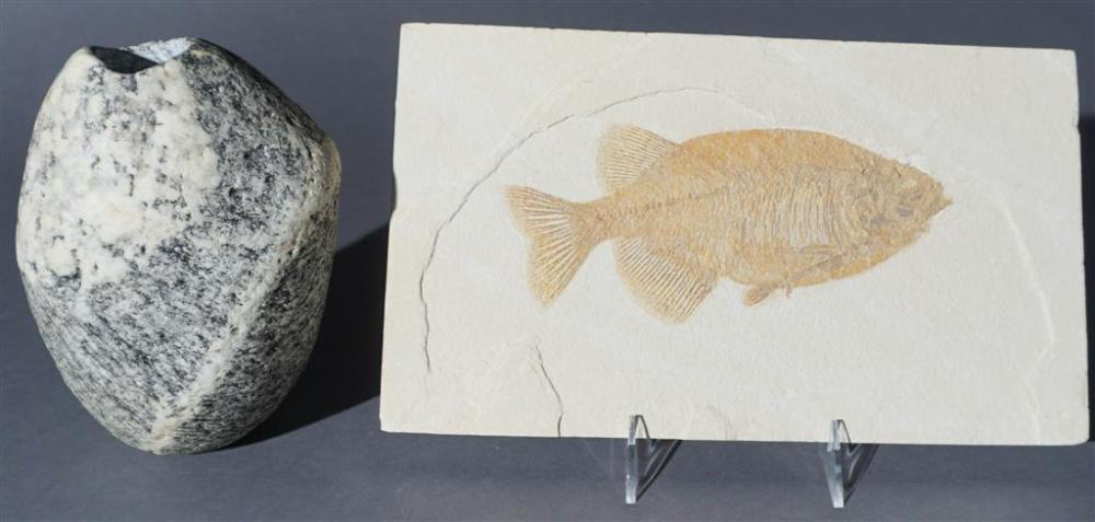 FOSSILIZED STONE FISH AND LEE SPIKER