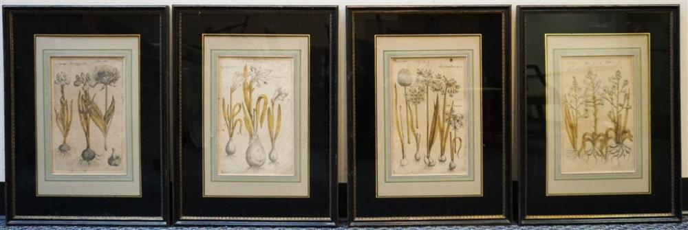 FOUR BOTANICAL COLORED ENGRAVINGS  329c07