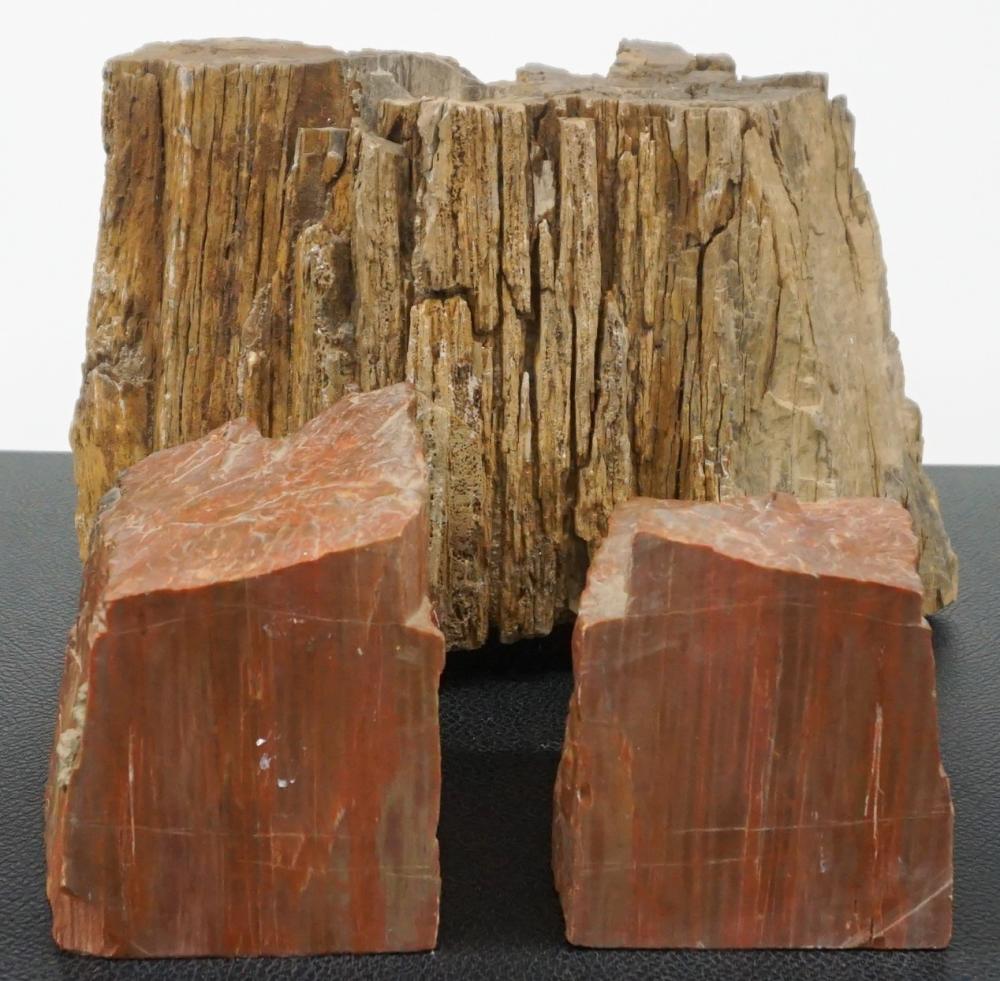 PAIR PETRIFIED WOOD BOOKENDS AND