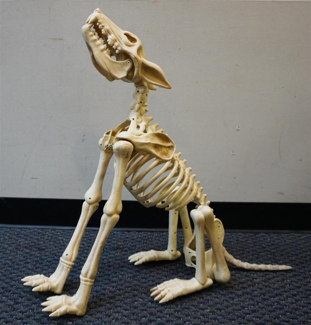 PLASTIC BONE DOG ARTICULATED SCULPTURE,