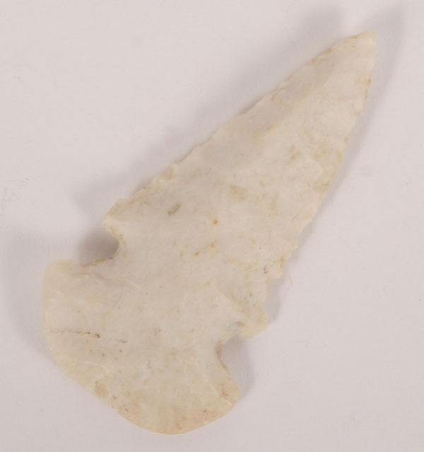 White dovetail found in Illinois  50da7