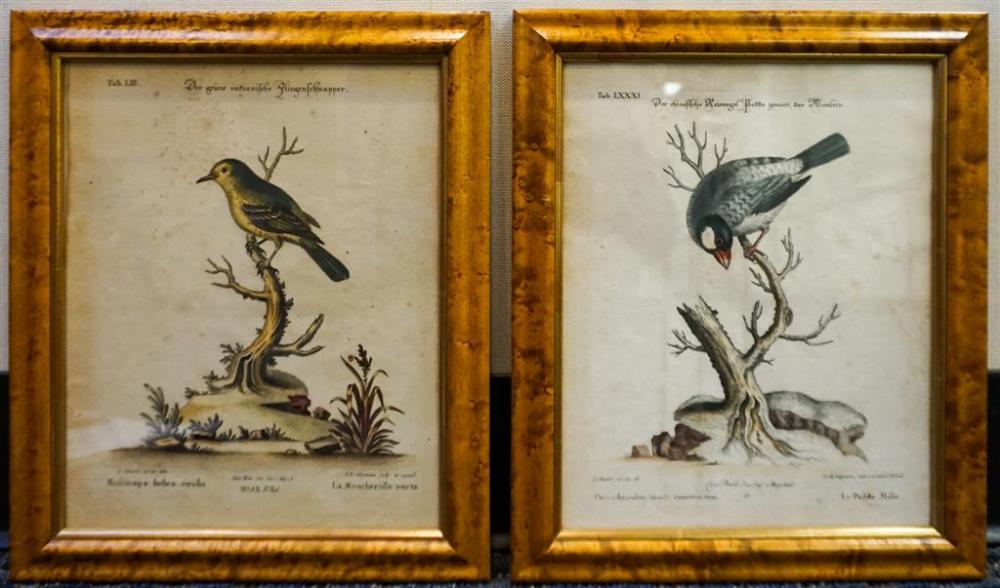 PAIR OF GERMAN ORNITHOLOGICAL COLORED