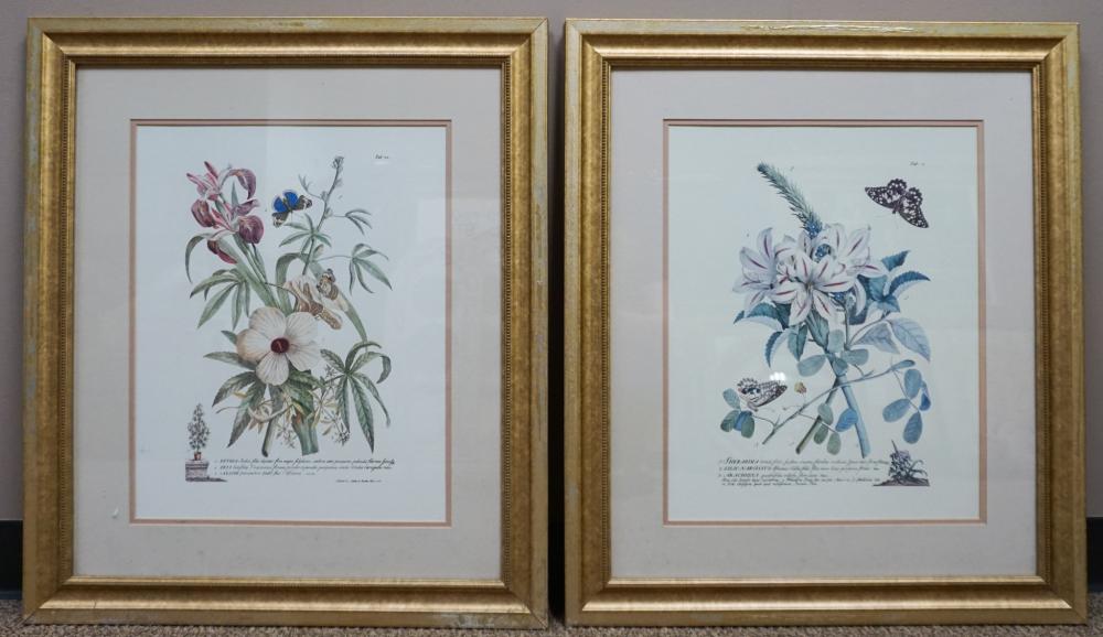 PAIR OF BOTANICAL FLOWER REPRODUCTION 32c1da