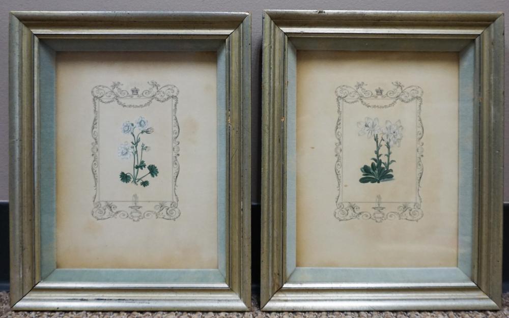 PAIR OF BOTANICAL PRINTS, FRAME: