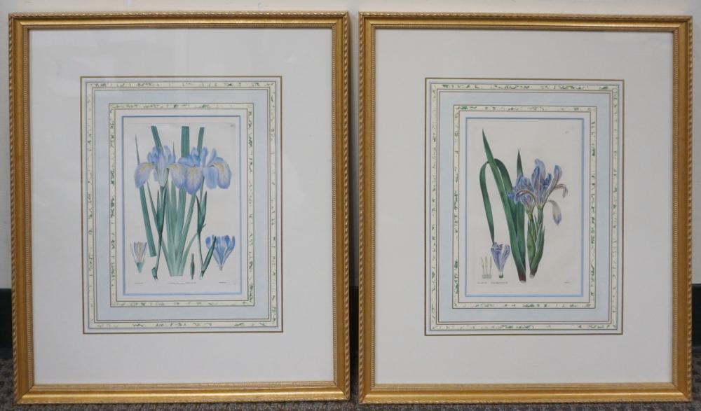 TWO BOTANICAL PRINTS, FRAME: 19