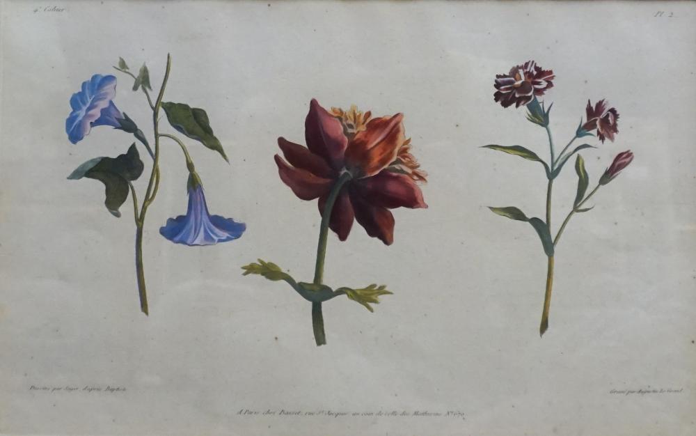 FRENCH BOTANICAL COLORED MEZZOTINT 32c67f