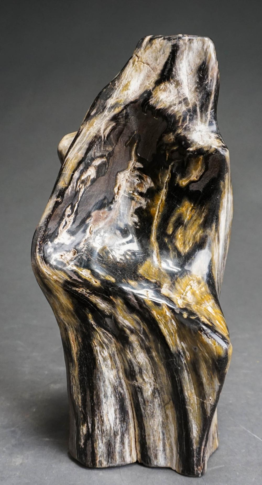 POLISHED PETRIFIED WOOD OR FOSSIL