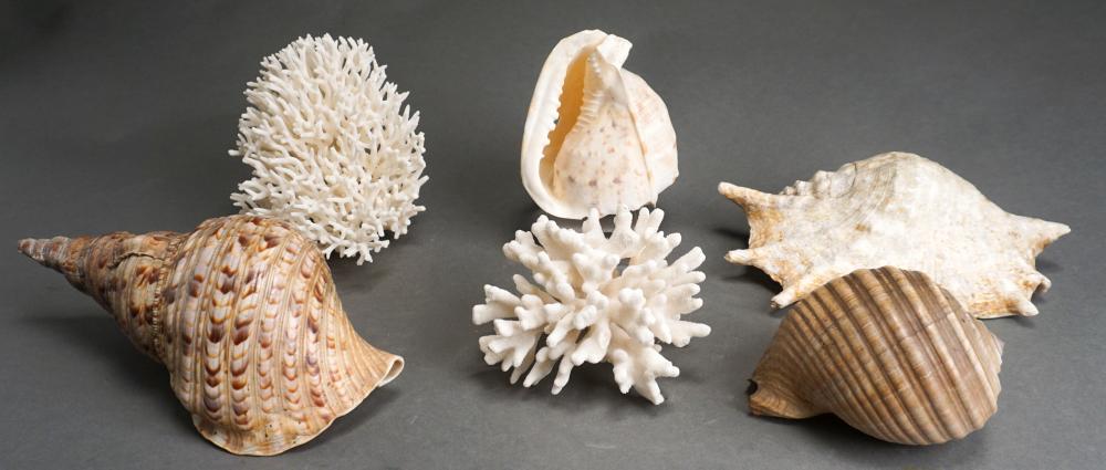 FOUR SHELLS AND TWO CORAL FRAGMENTS,