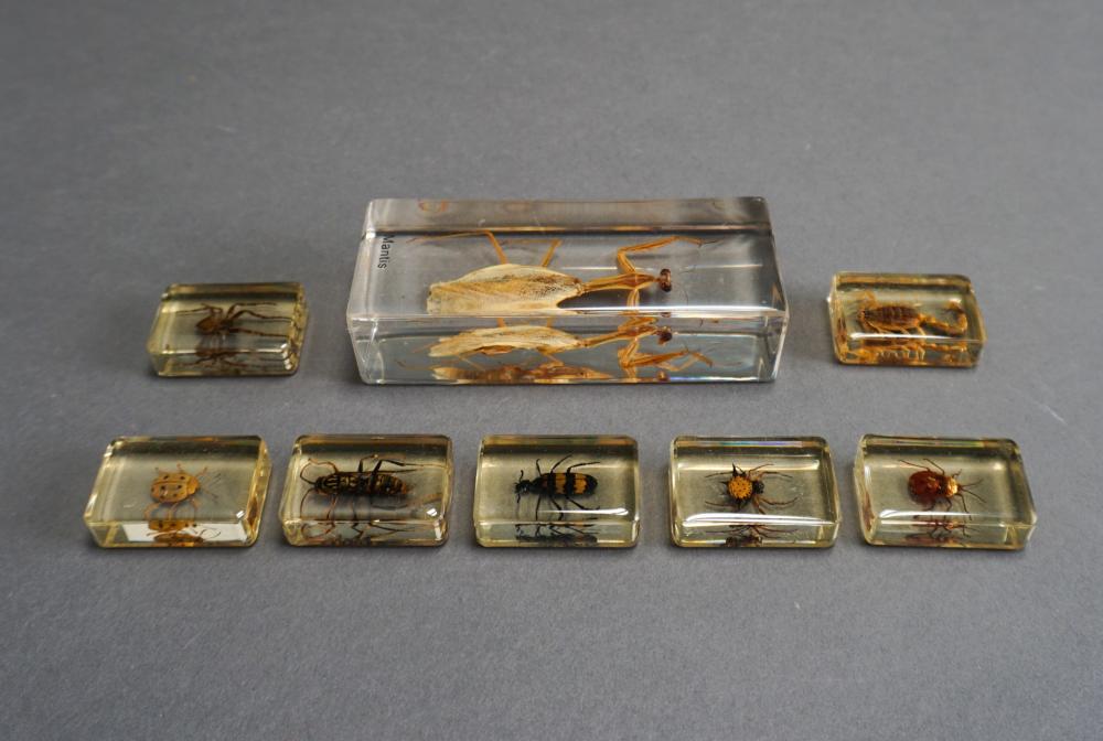 COLLECTION OF EIGHT INSECTS/INVERTEBRATES