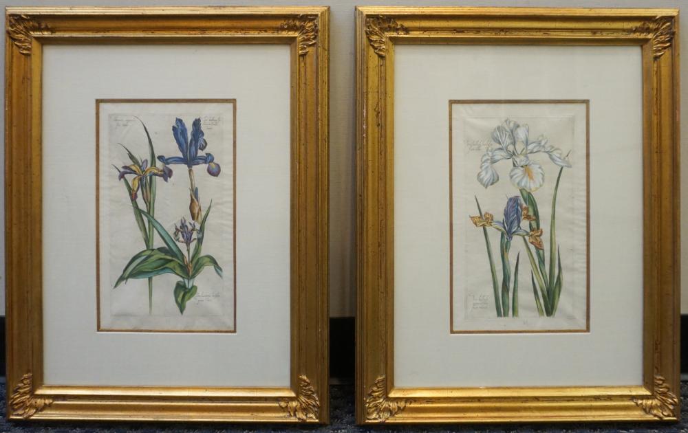 FLOWERS, TWO HAND COLORED ENGRAVINGS,