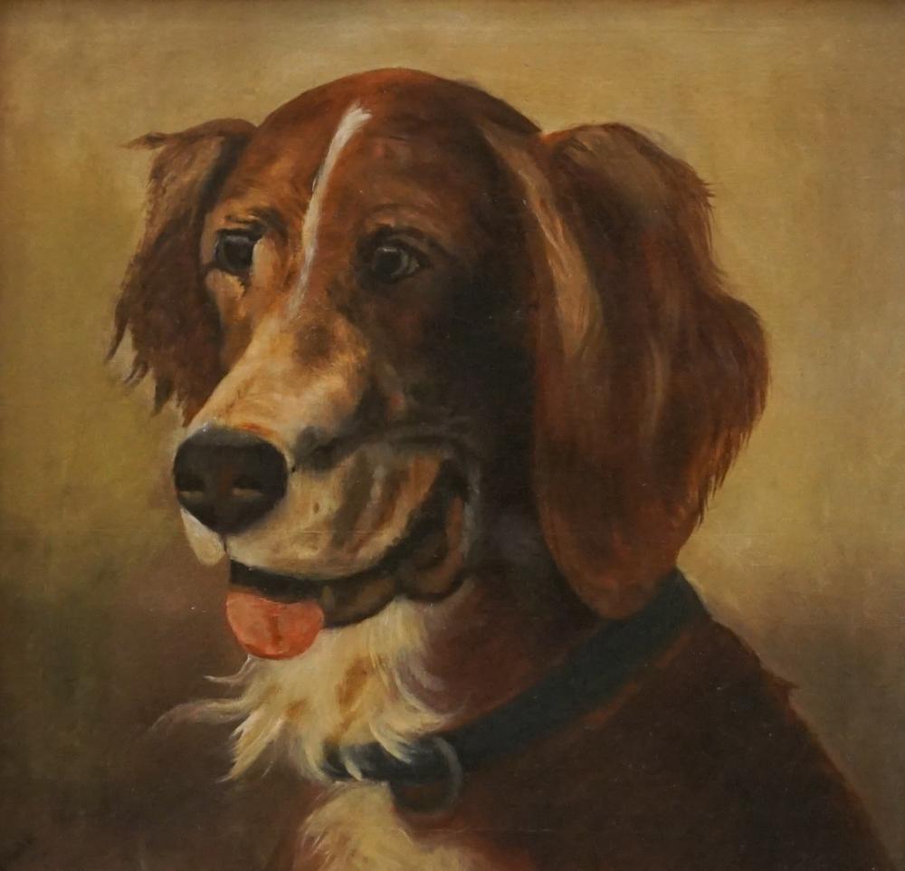 BLOOR HEAD OF SPANIEL OIL ON 32ea3c