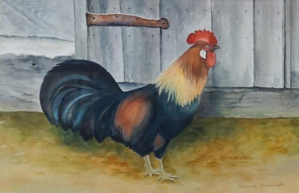 MARCIA BOROUGHS, ROOSTER IN YARD,