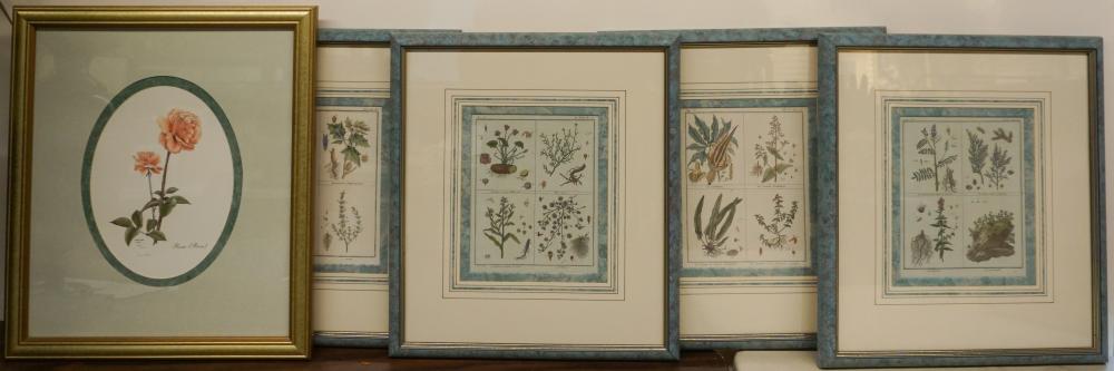 GROUP OF FOUR REPRODUCTION BOTANICAL