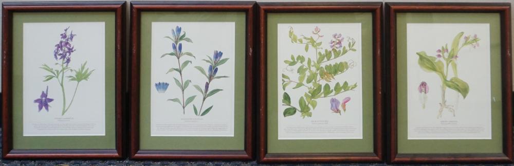 FOUR ASSORTED FLORAL PRINTS, FRAME