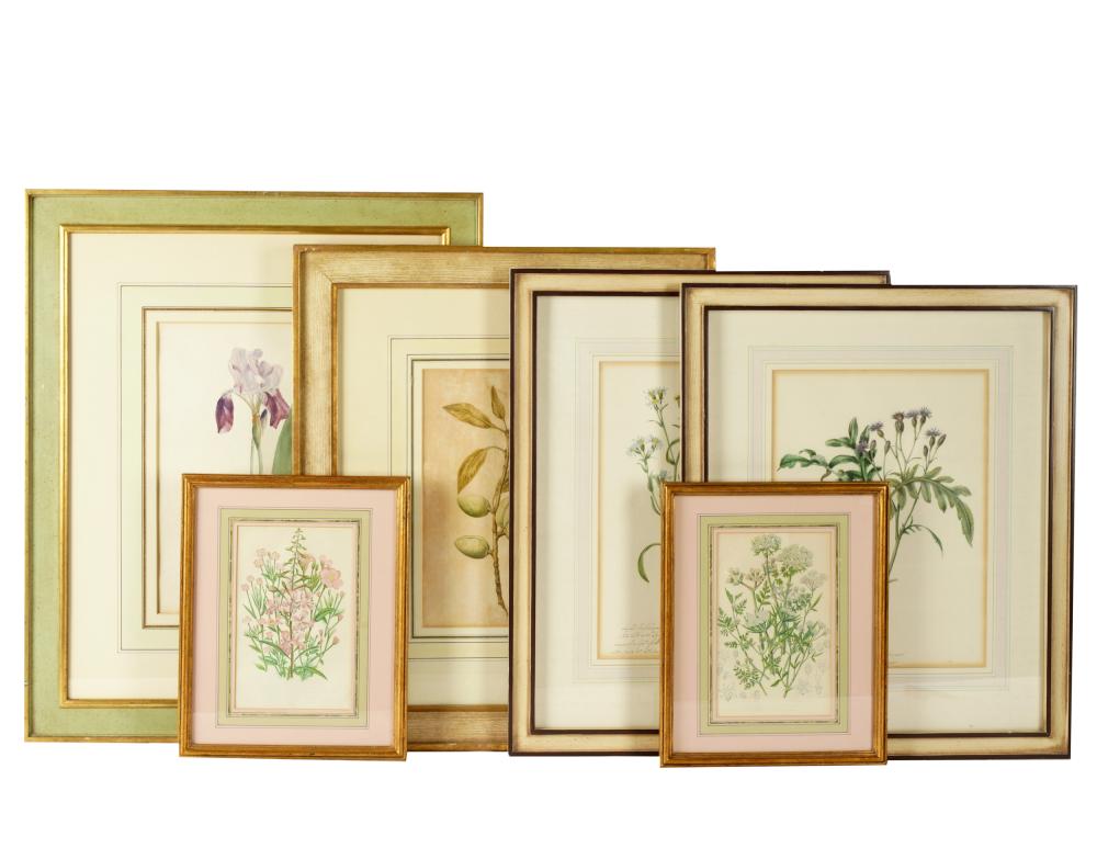 GROUP OF SIX BOTANICAL STUDIEScomprising 330c4e