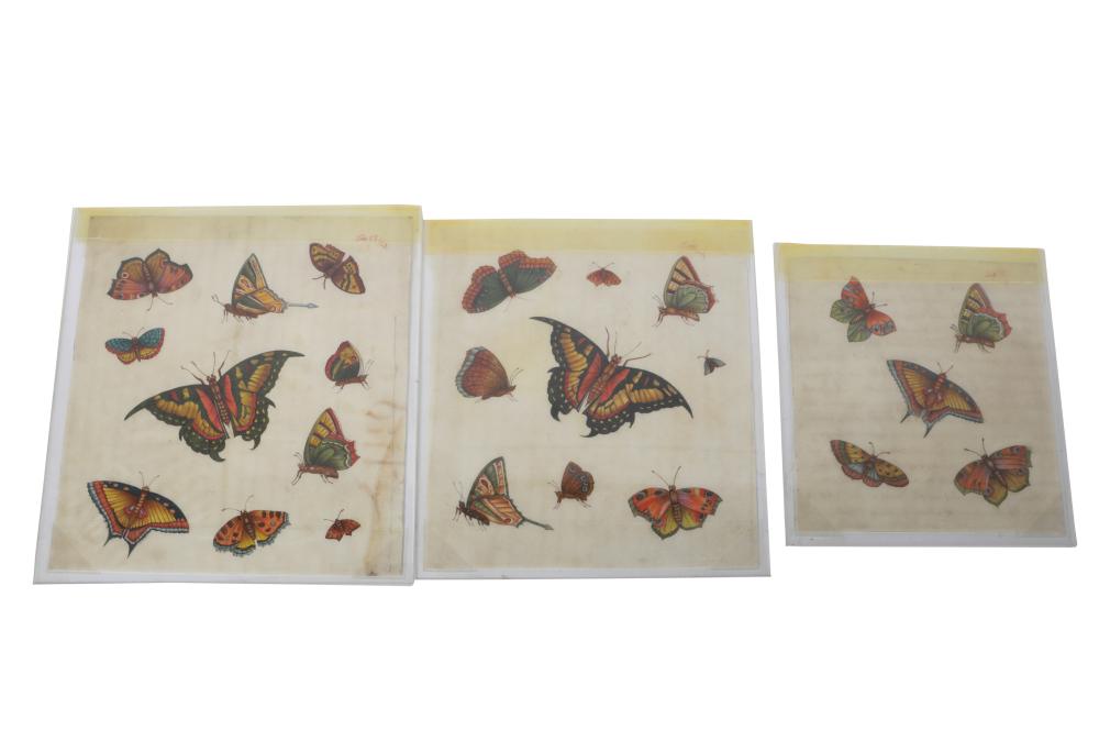 SET OF THREE BUTTERFLY STUDIESwatercolor