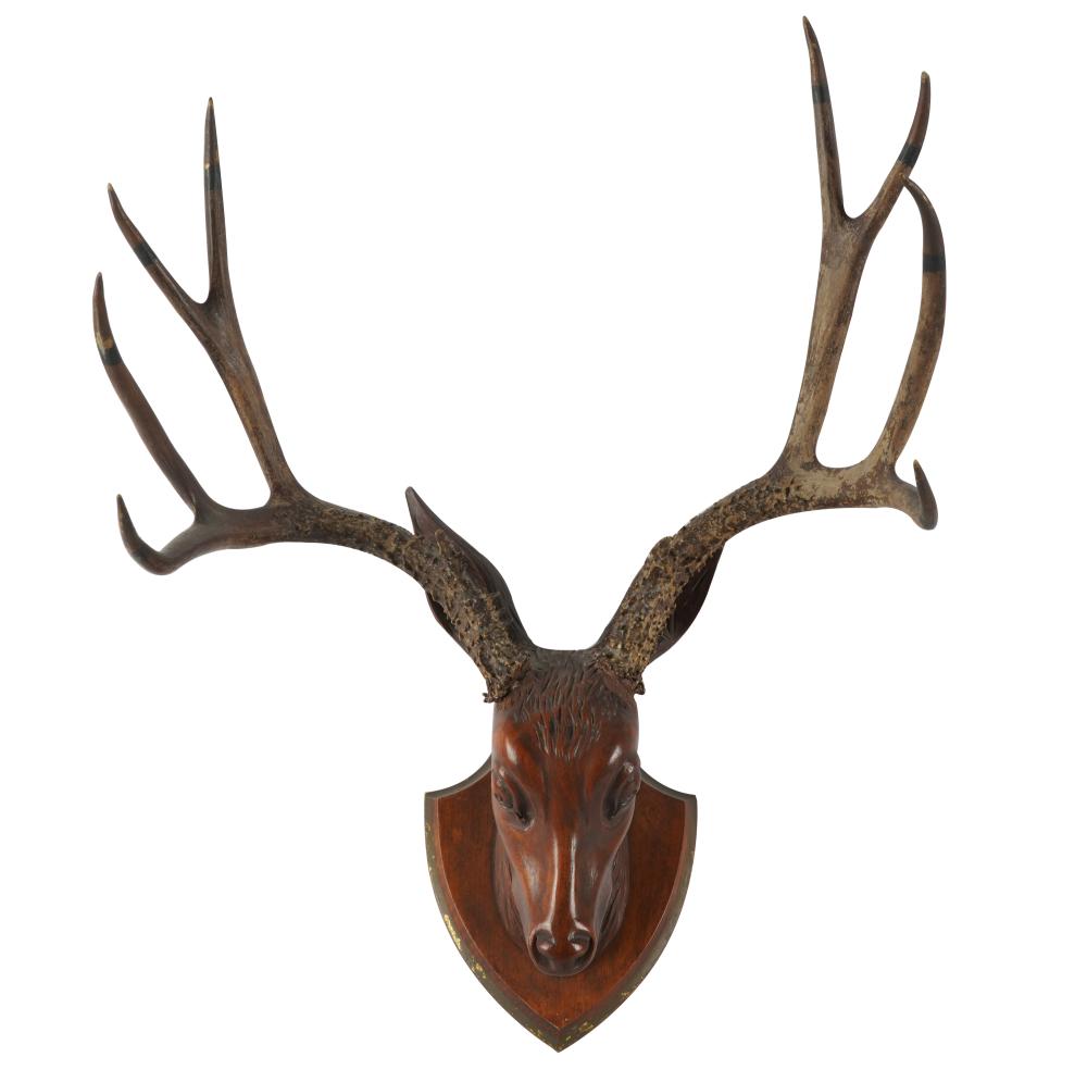 CARVED BUCK S HEAD MOUNTcarved 331c4e