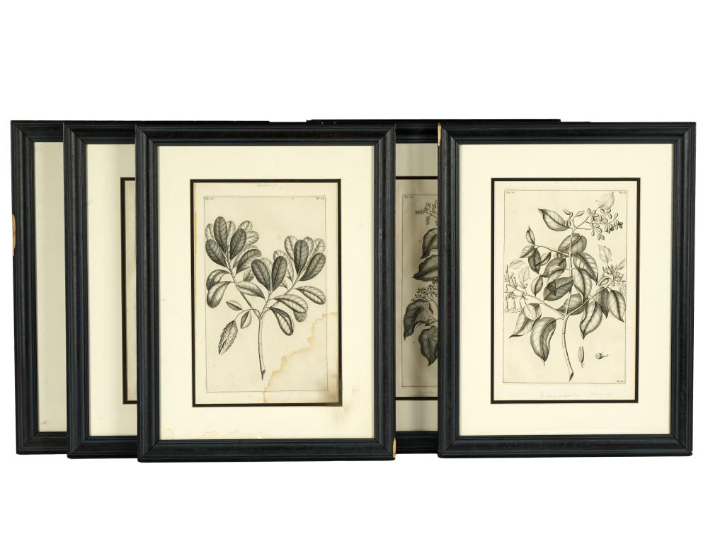 SET OF SIX BOTANICAL ENGRAVINGSon 32face