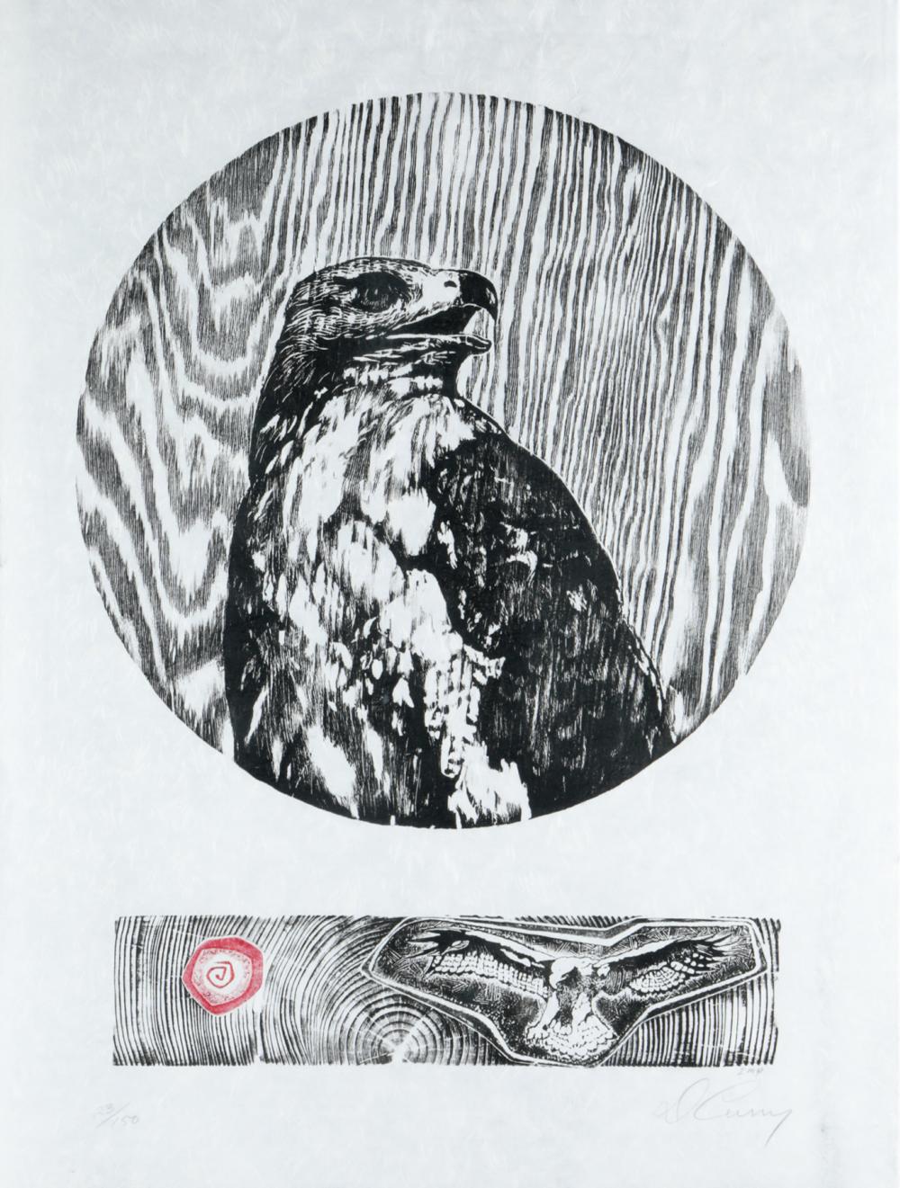 20TH / 21ST CENTURY: HAWKlinoleum print