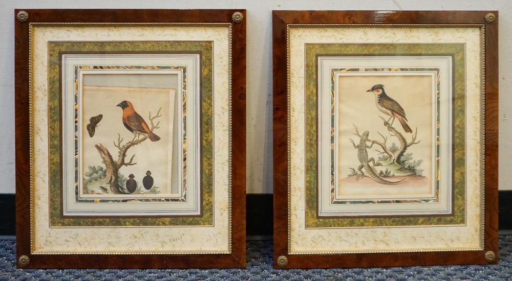 TWO BIRD PRINTS, FRAMED: 21 3/4