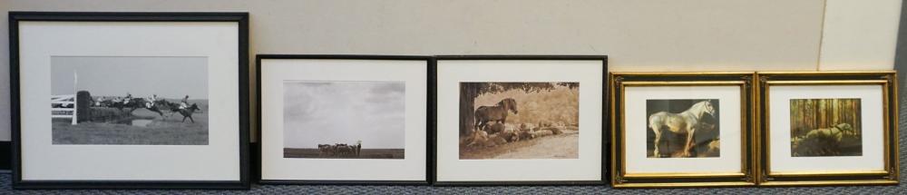 GROUP OF FIVE EQUESTRIAN PHOTOGRAPHS  33049d