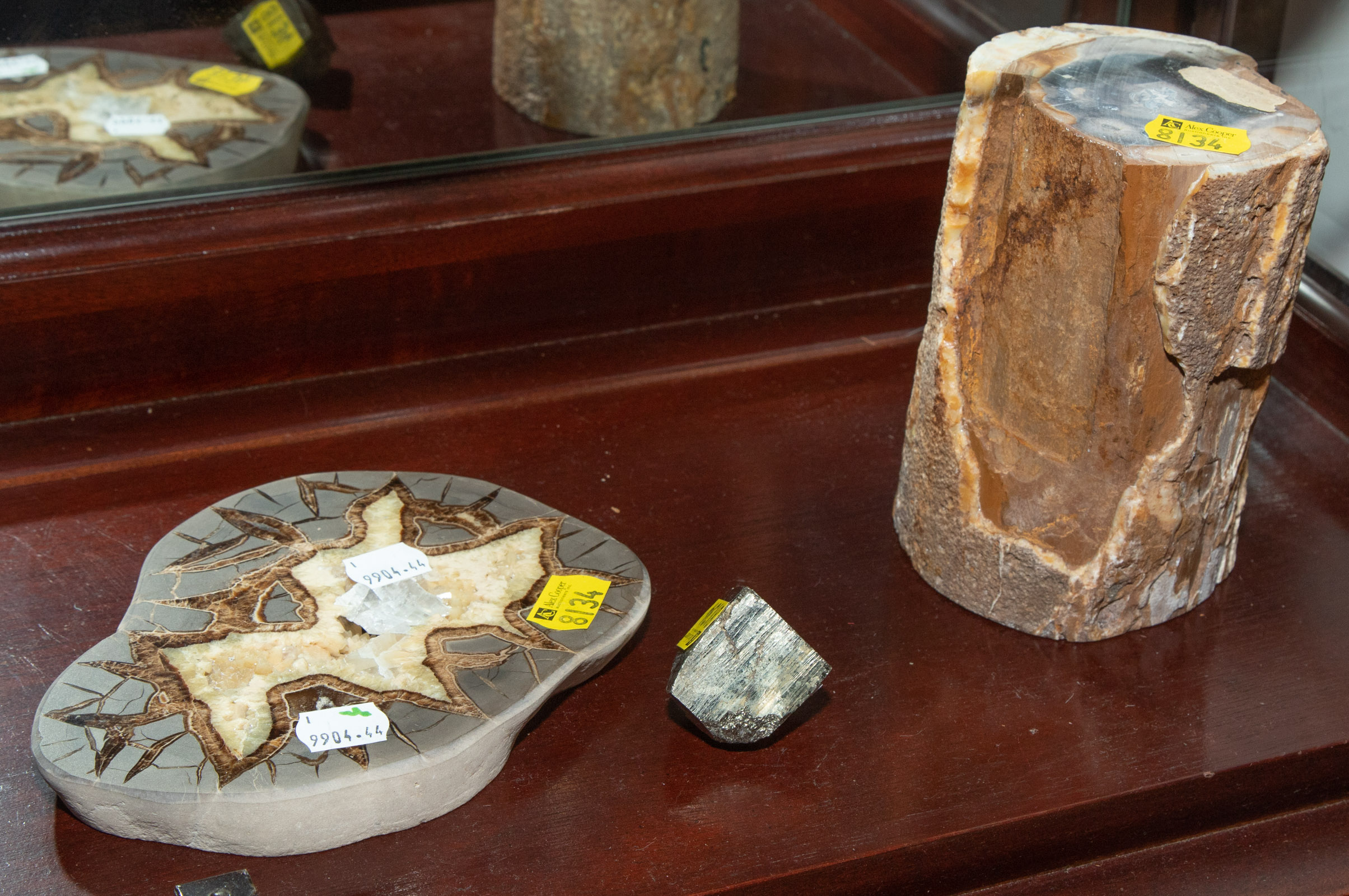 PETRIFIED WOOD FOSSIL; TWO OTHER MINERAL