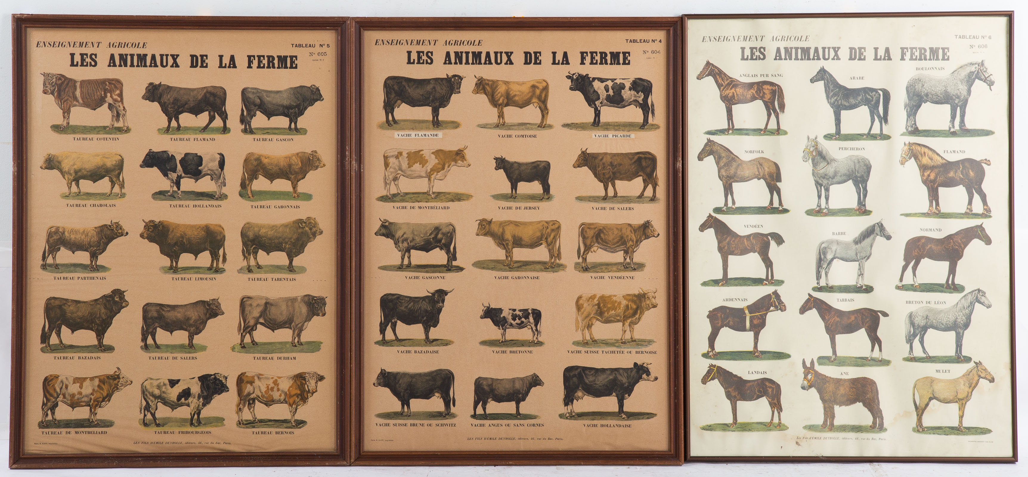 THREE FRAMED FRENCH FARM ANIMAL 3357ac