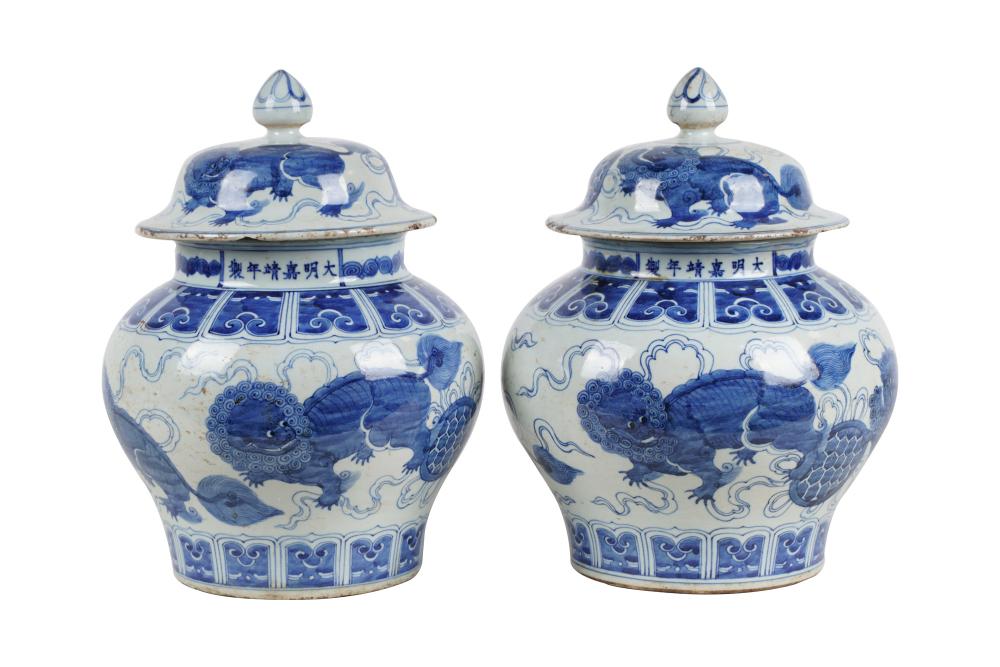 PAIR OF CHINESE BLUE & WHITE PORCELAIN