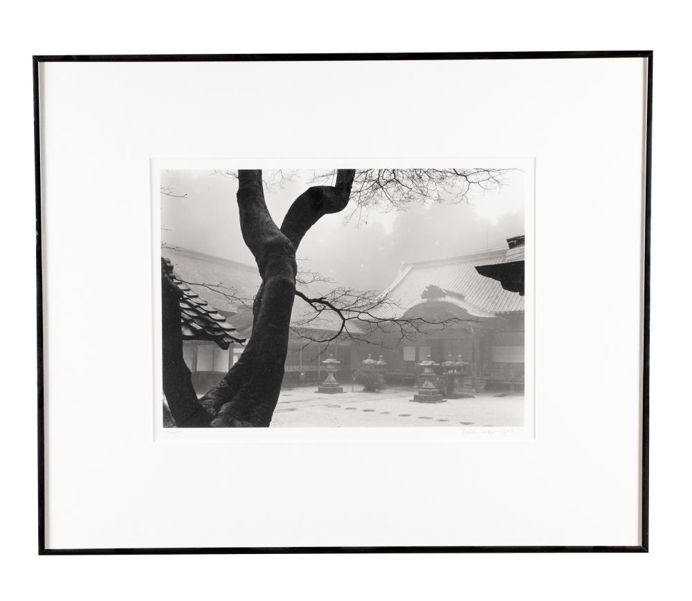 PAUL CAPONIGRO "THE BLACK TREE"gelatin