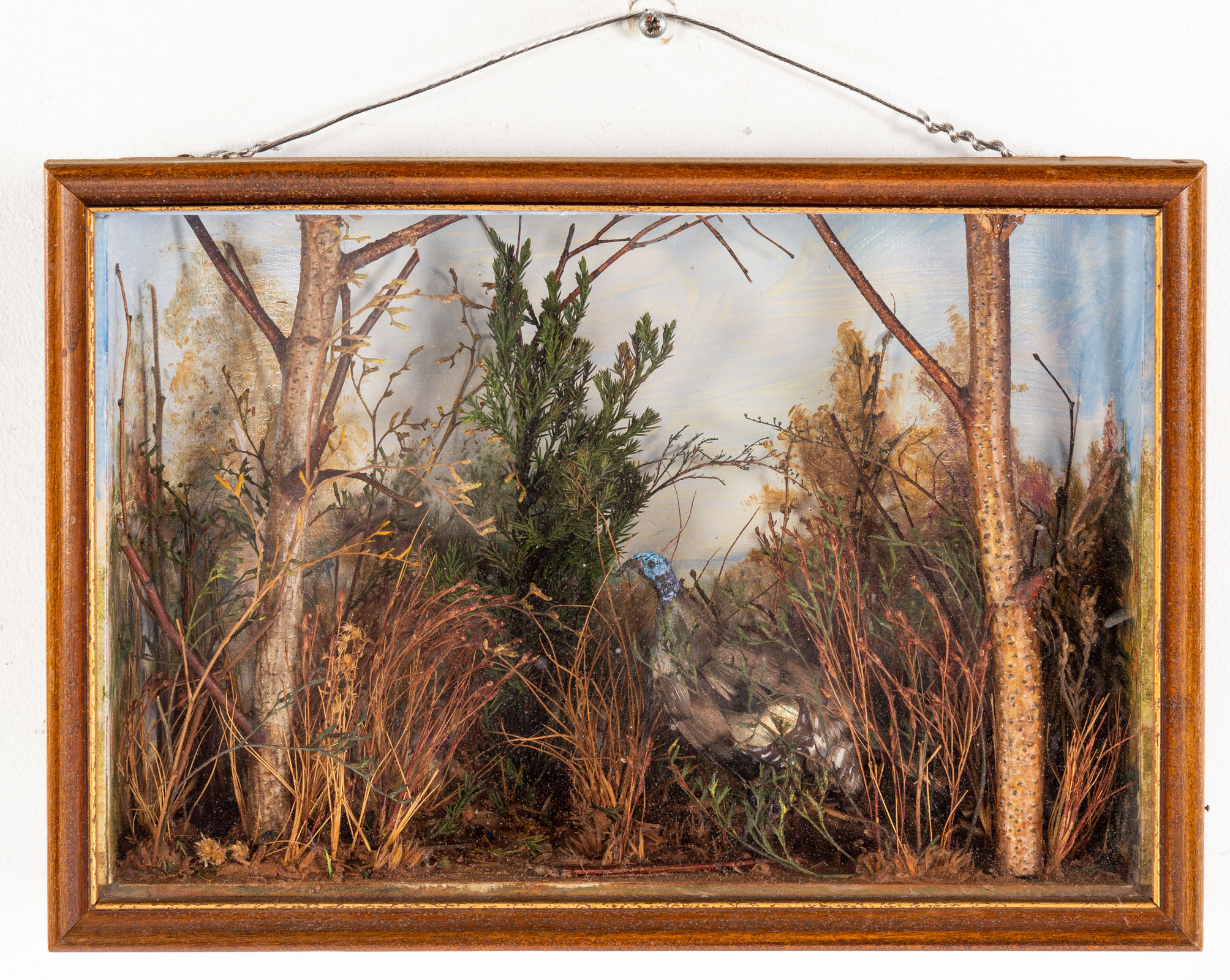 WILDLIFE DIORAMA IN A SHADOWBOX 336af4