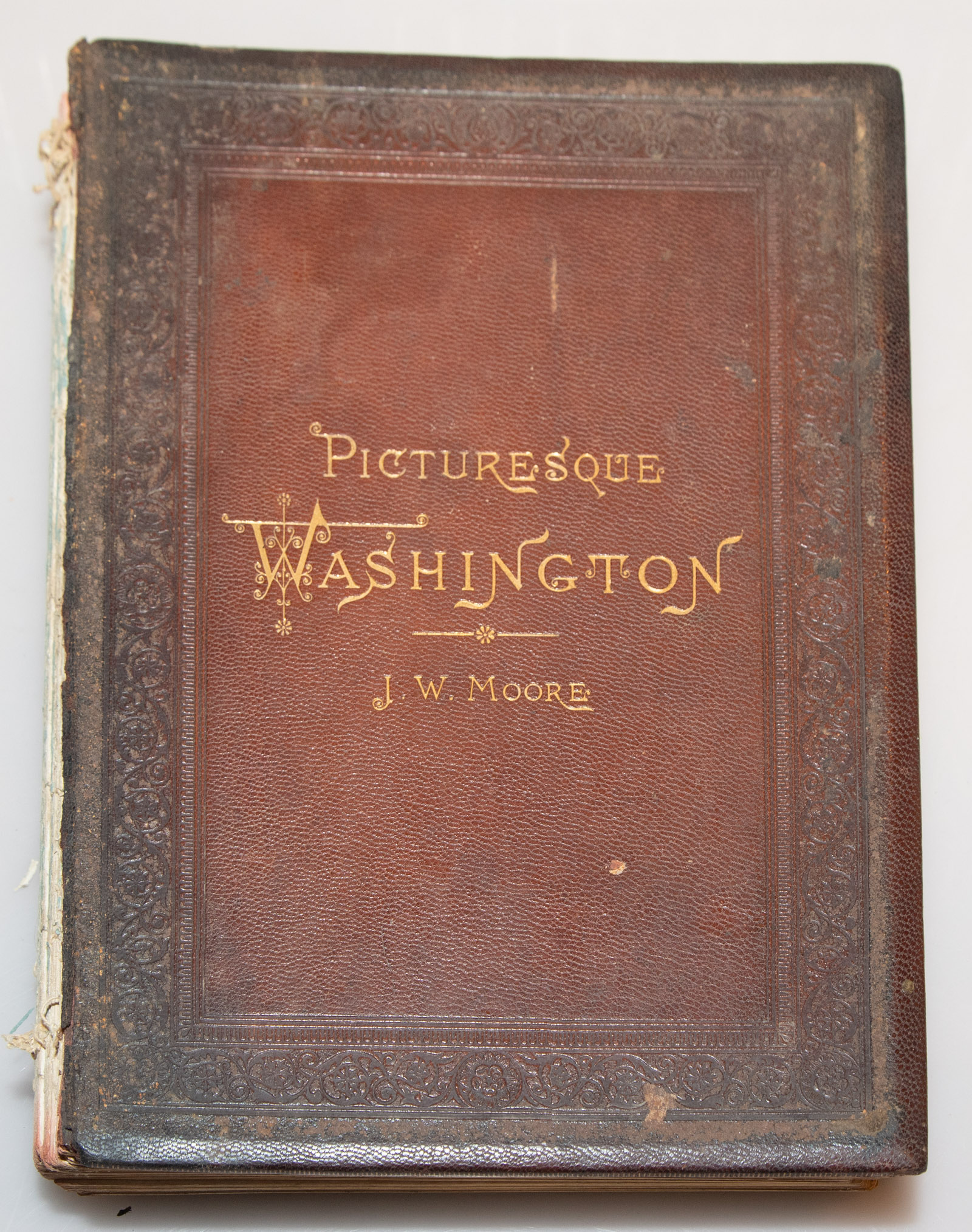 MOORE, PICTURESQUE WASHINGTON, 1884