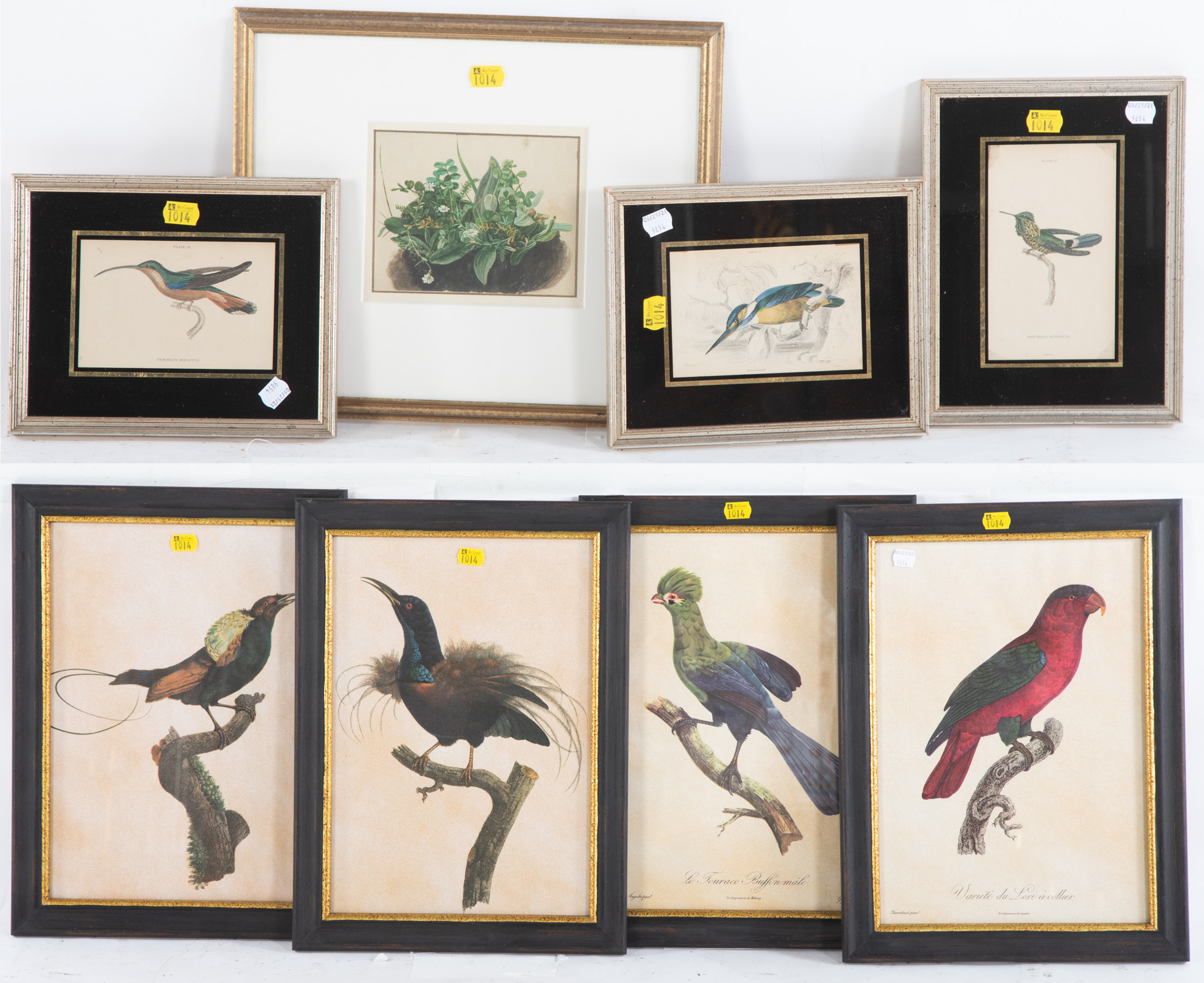 EIGHT ASSORTED ORNITHOLOGICAL  334c60