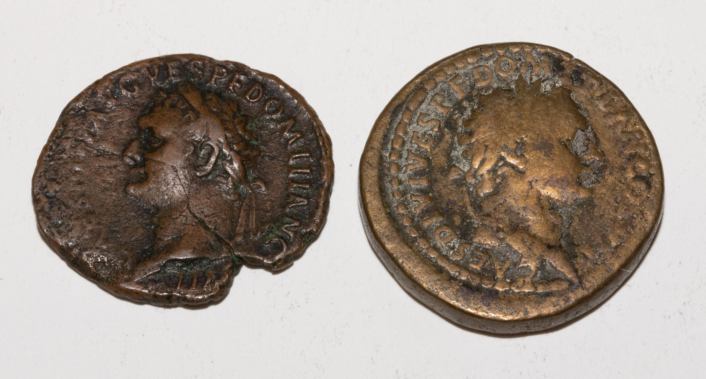 A PAIR OF DOMITIAN 81 96 CE BRONZES 334dec