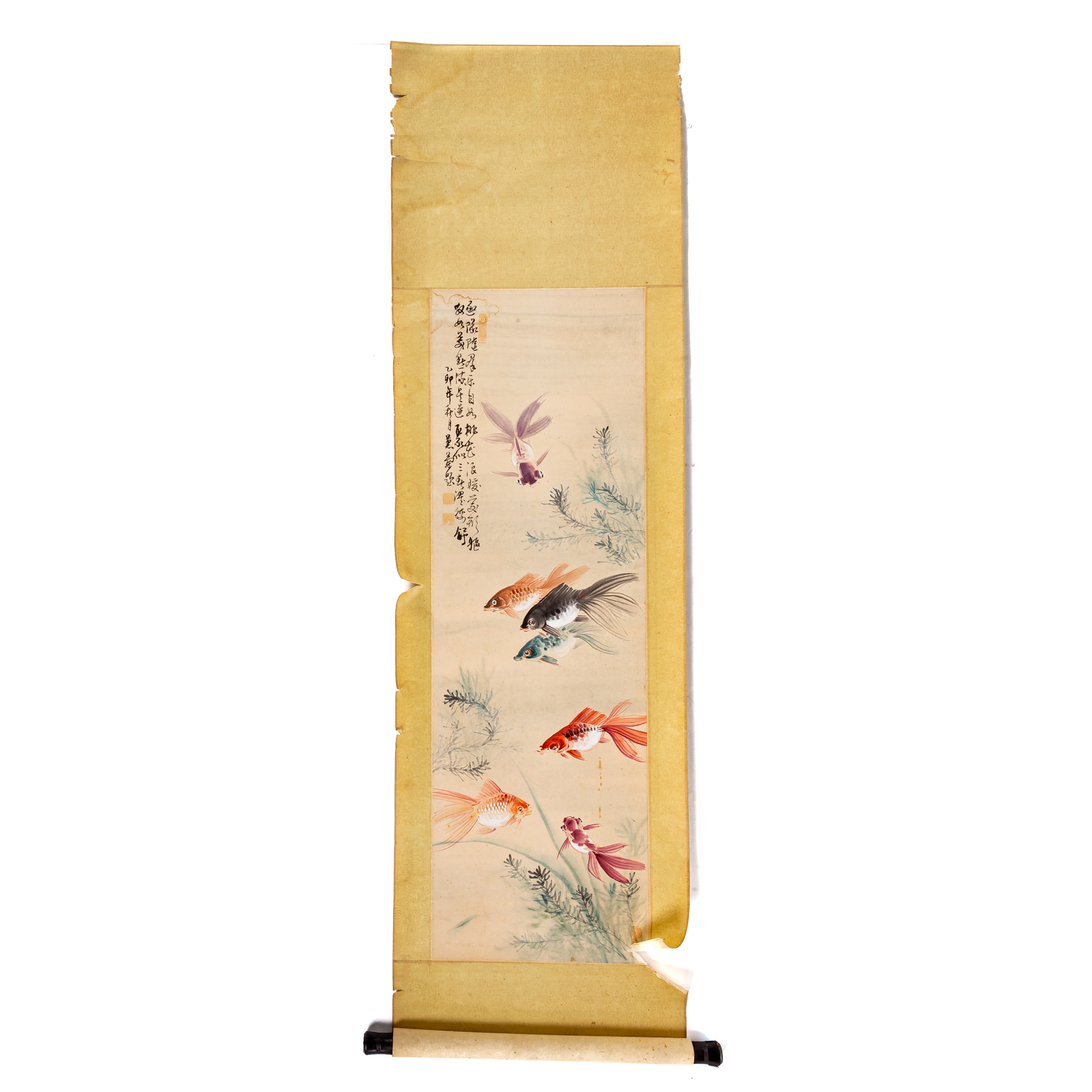 JAPANESE SACRED CARP SCROLL Colored