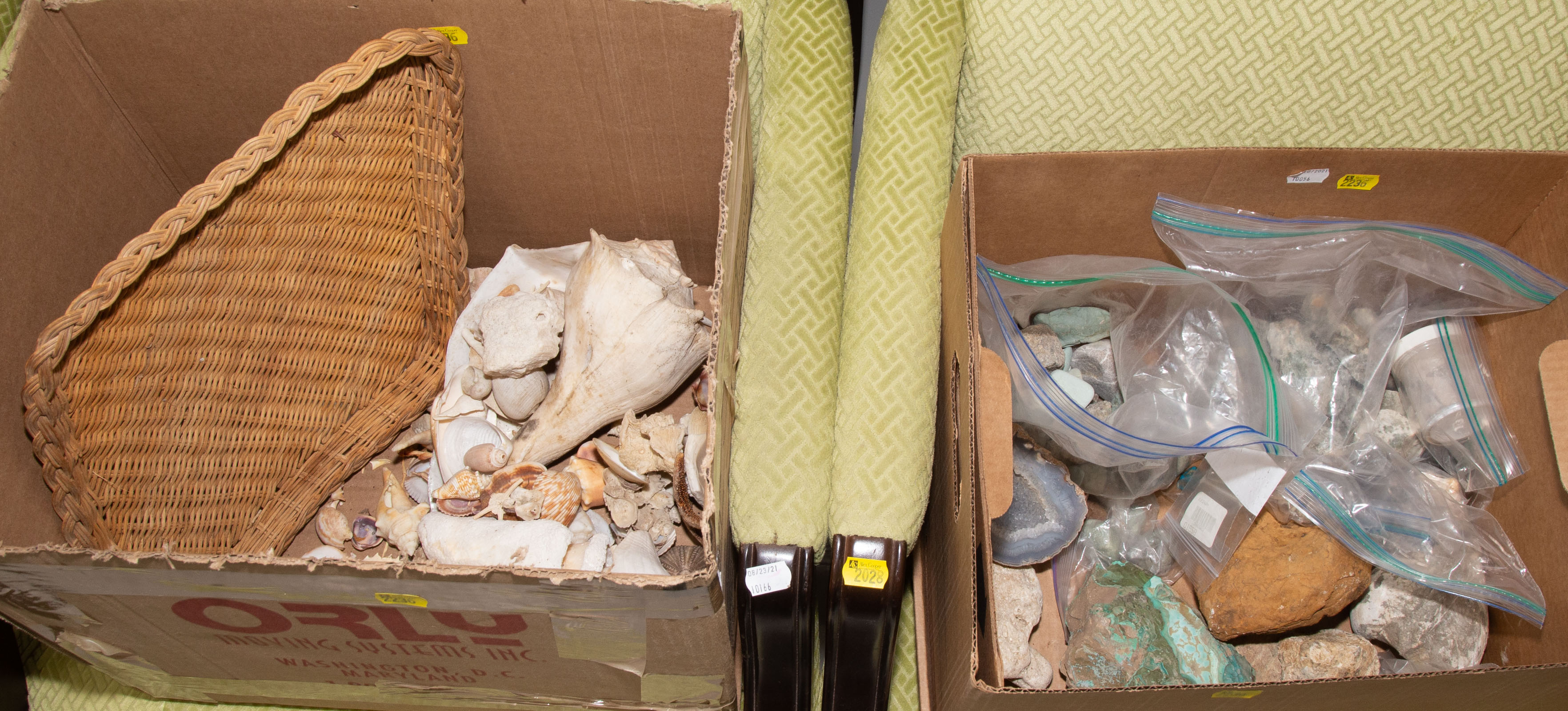 TWO BOXES OF SEA SHELLS & MINERAL COLLECTION