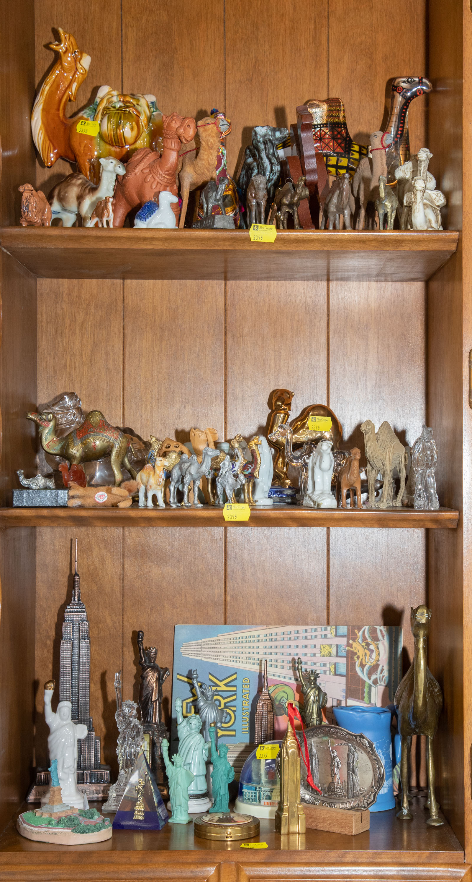 COLLECTION OF CAMELS; NEW YORK