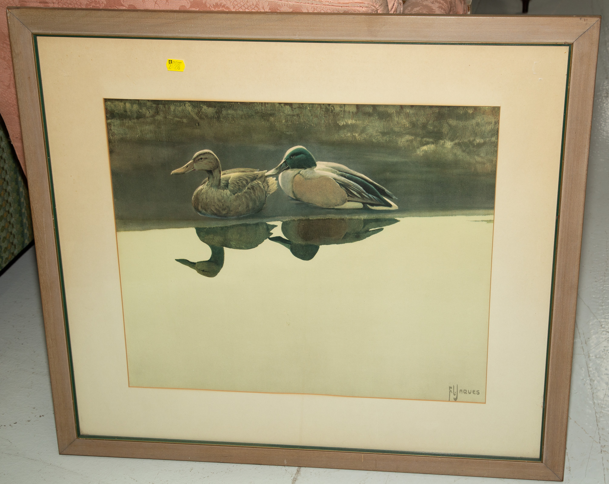A PAIR OF DUCKS, PRINT Large, framed.
