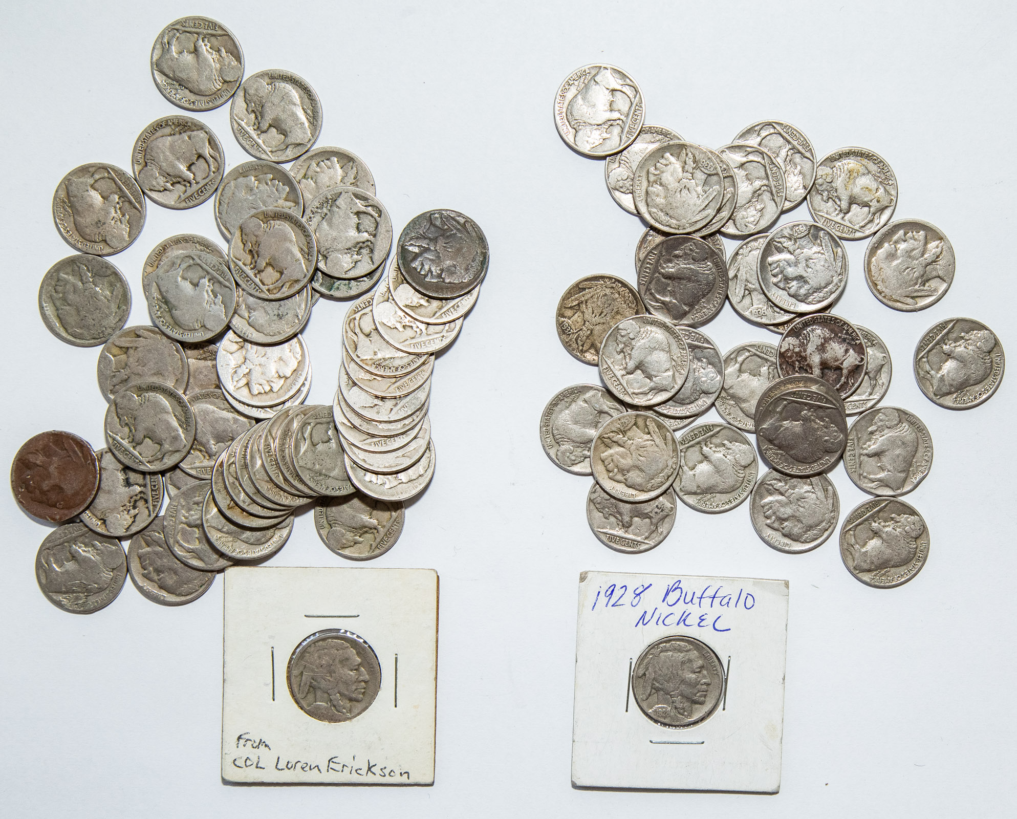 HERD OF BUFFALO NICKELS 30 readable 337cfb