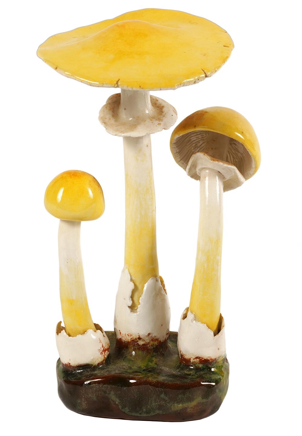 LORENZEN 'AMANITA CITRINA' MUSHROOM