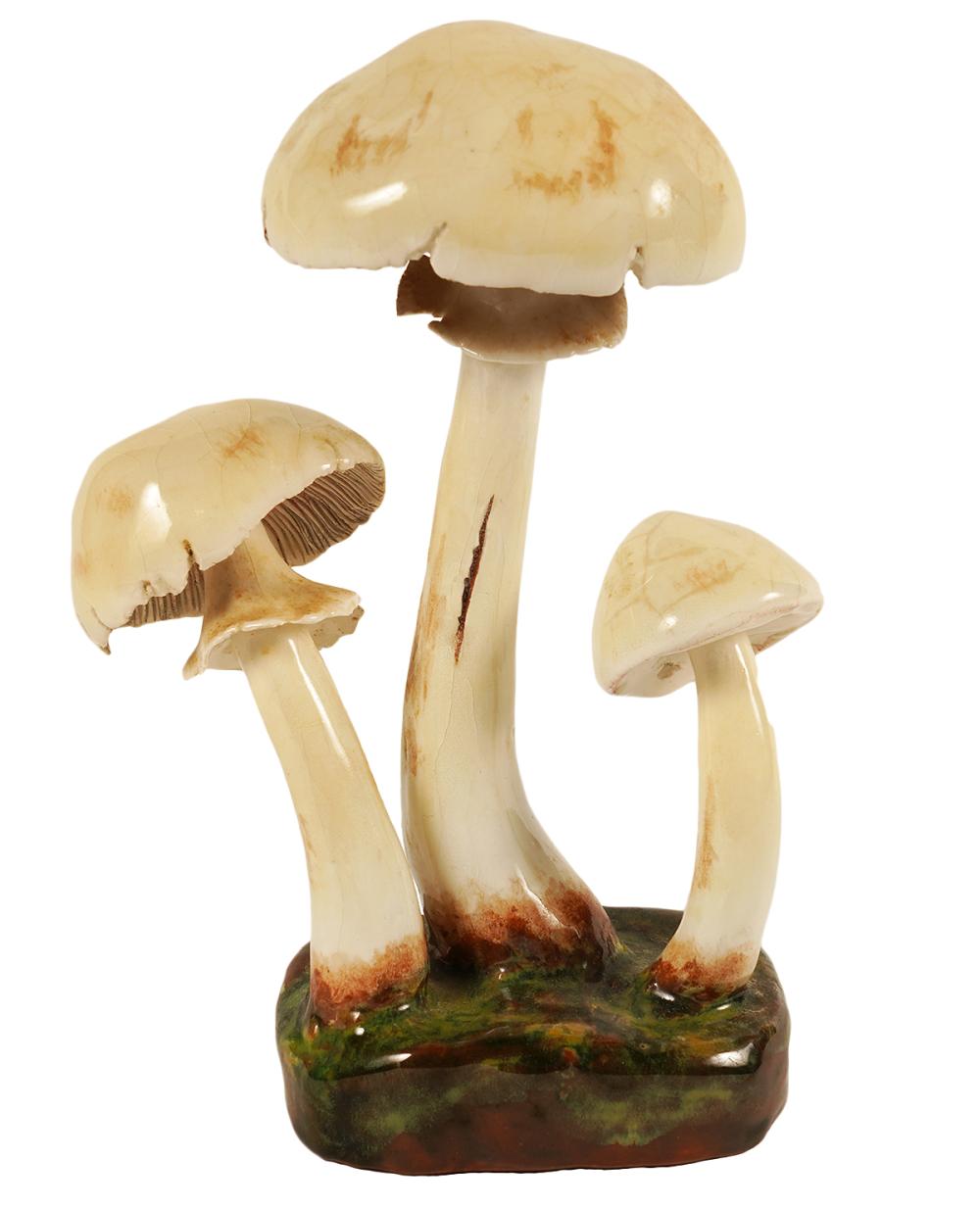 LORENZEN 'AGARICUS SILVICOLA' MUSHROOM