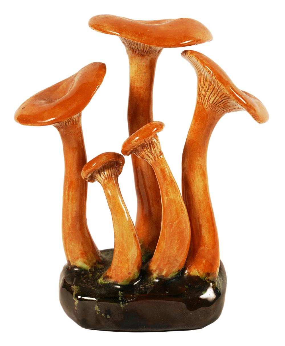 LORENZEN 'CLITOCYBE ILLUDENS' MUSHROOM