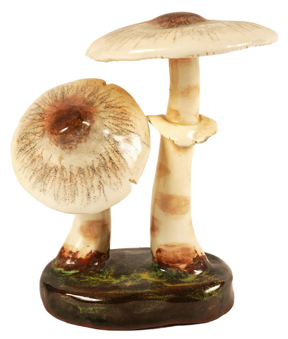 LORENZEN LEPIOTA GRACILENTA POTTERY 3380ec