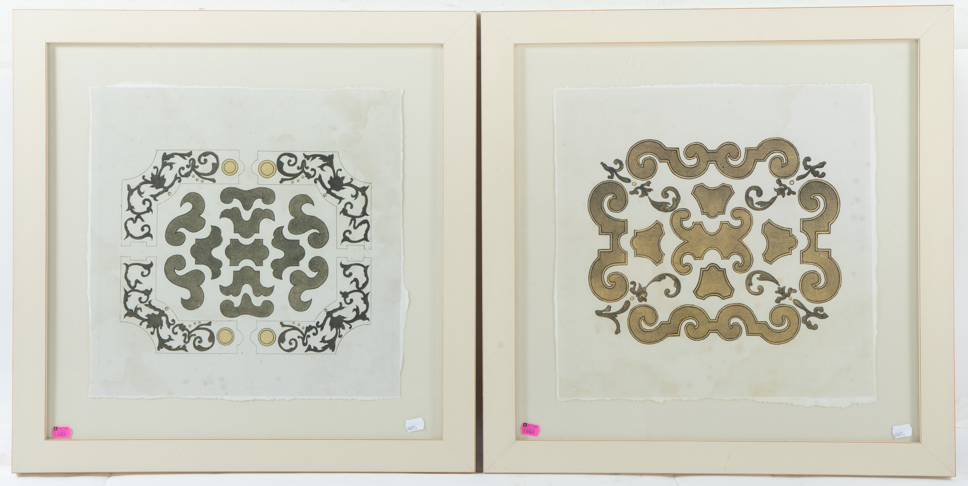 A PAIR OF FRAMED "NATURAL CURIOSITIES,"