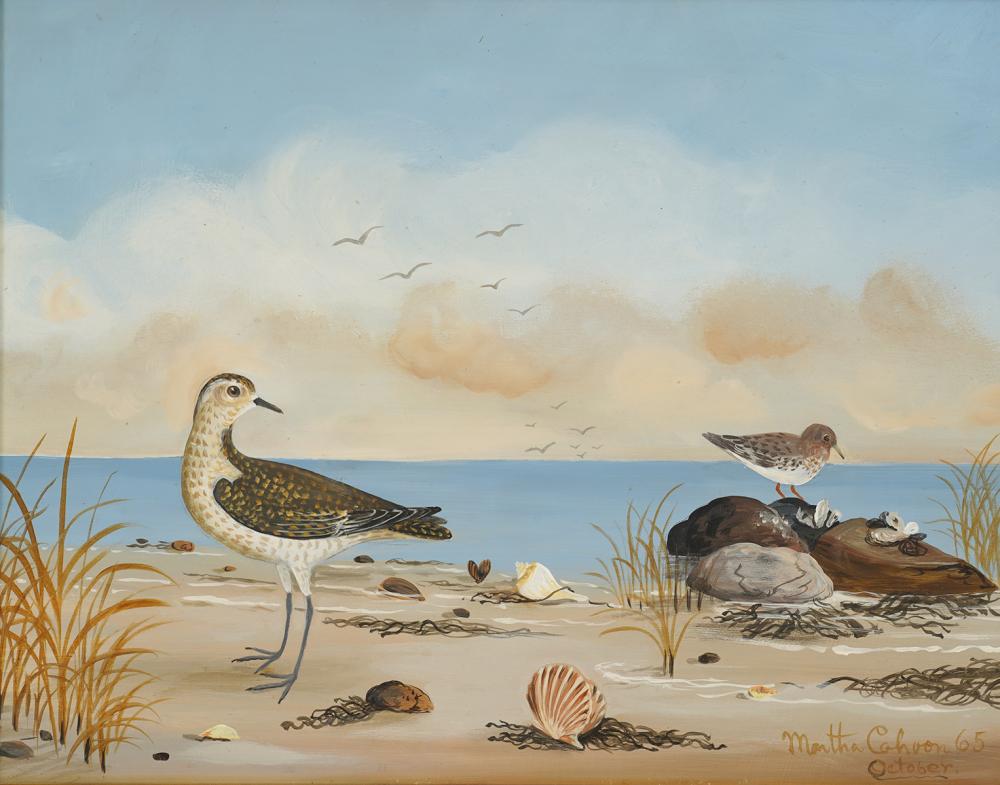 MARTHA CAHOON 'BIRDS & SEA SHELLS'